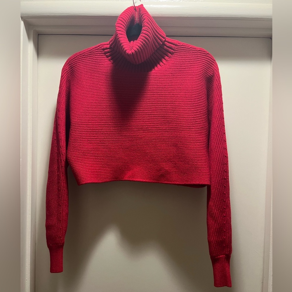 House of Harlow cropped turtlneck sweater